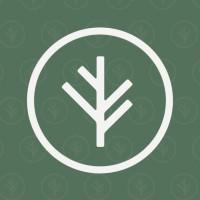 Branch Insurance logo